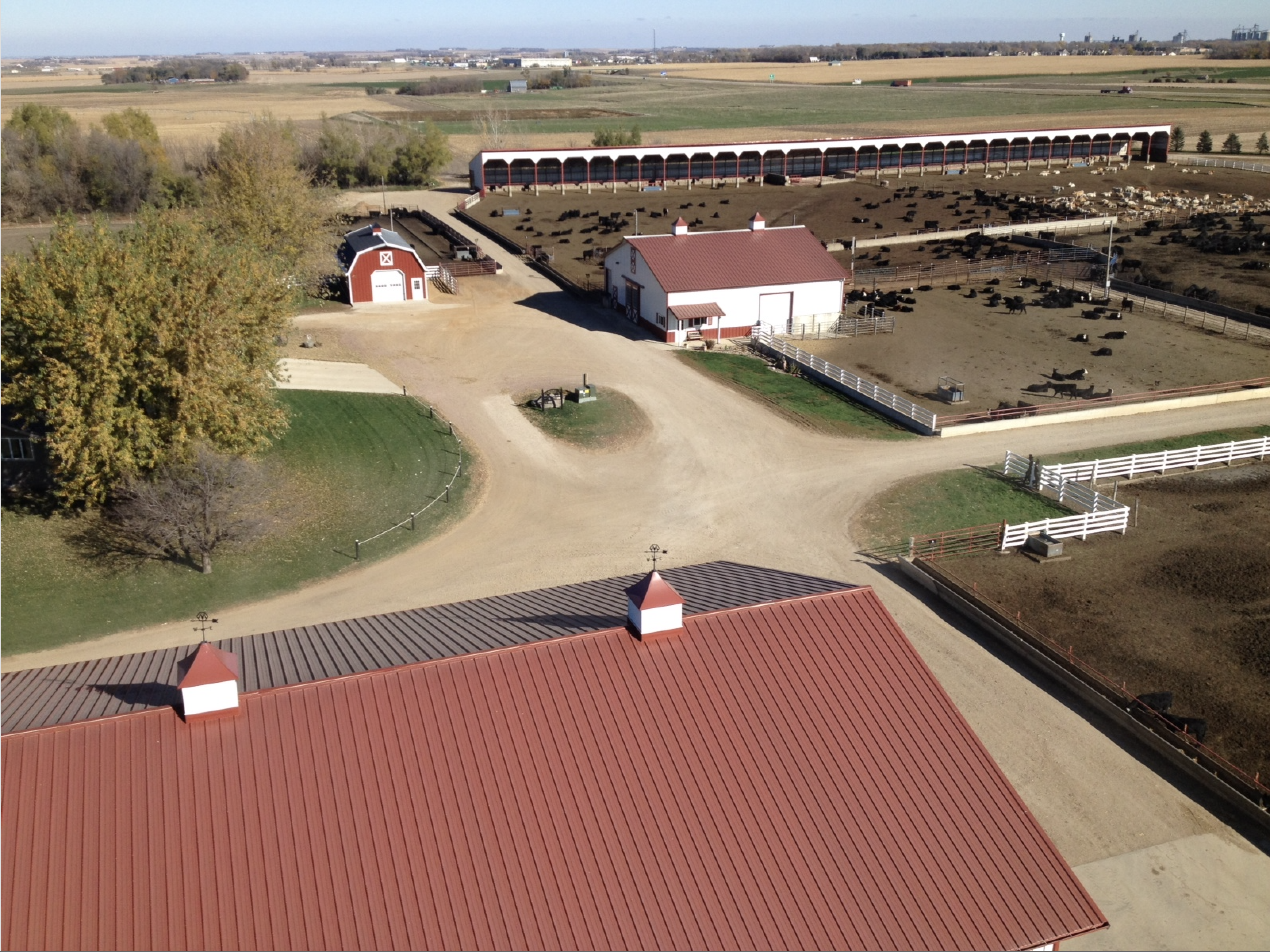 Access to Land: Christensen Farm Family & Succession Planning