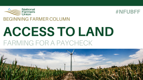 Access to Land: Farming for a Paycheck