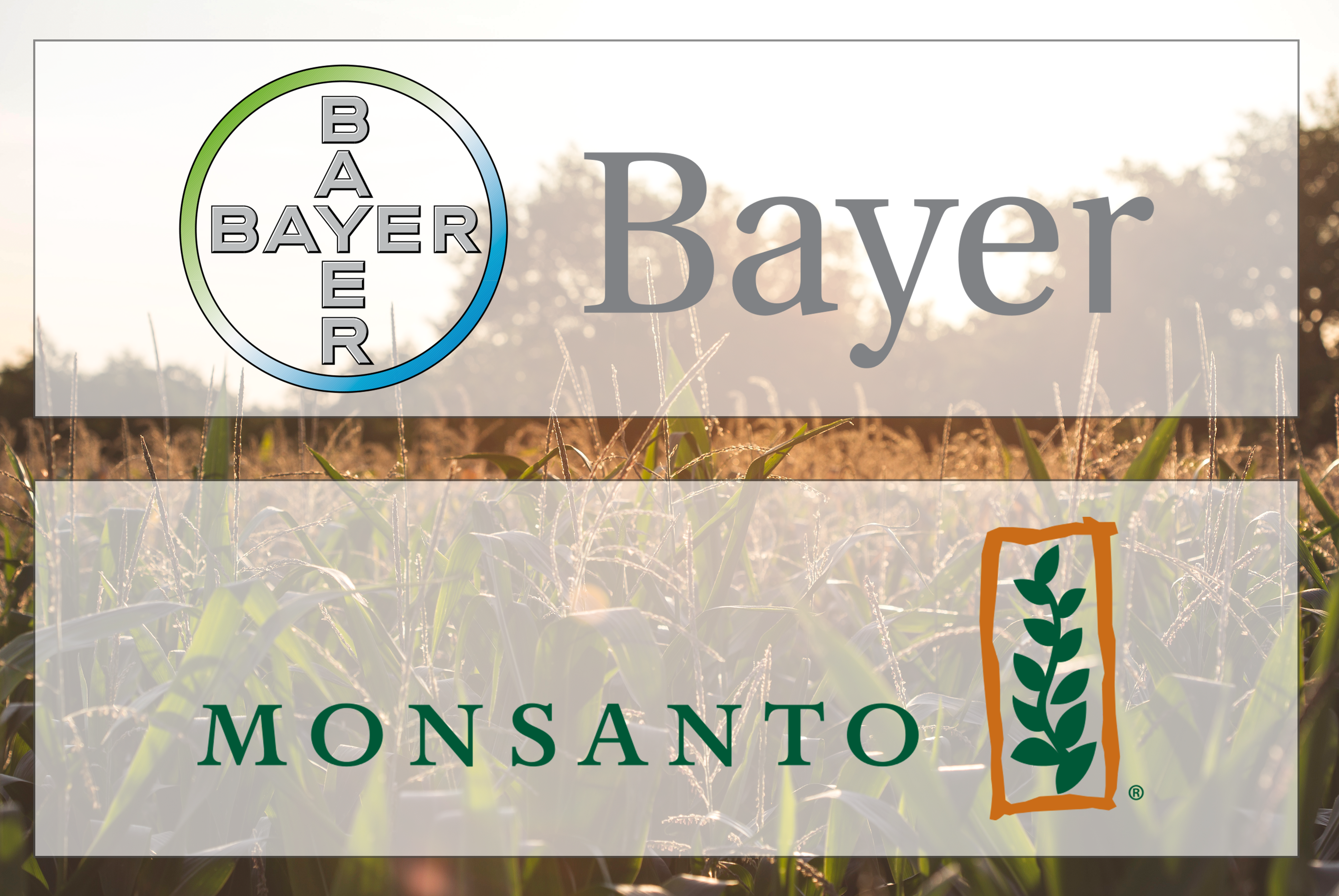 AAI, FWW, and NFU Say Monsanto-Bayer Merger Puts Competition, Farmers, and Consumers at Risk