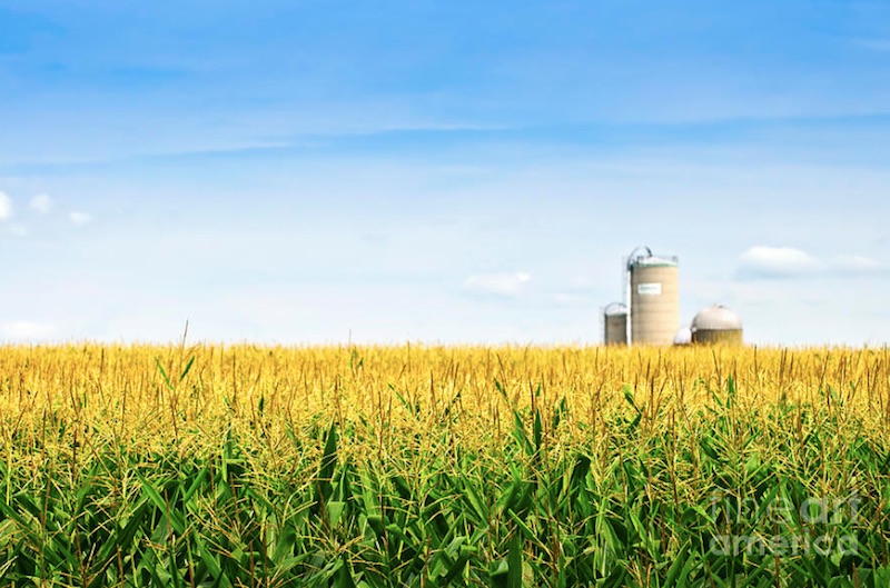 NFU President Offers Trump Administration a Pathway to Expanded Use of Ethanol