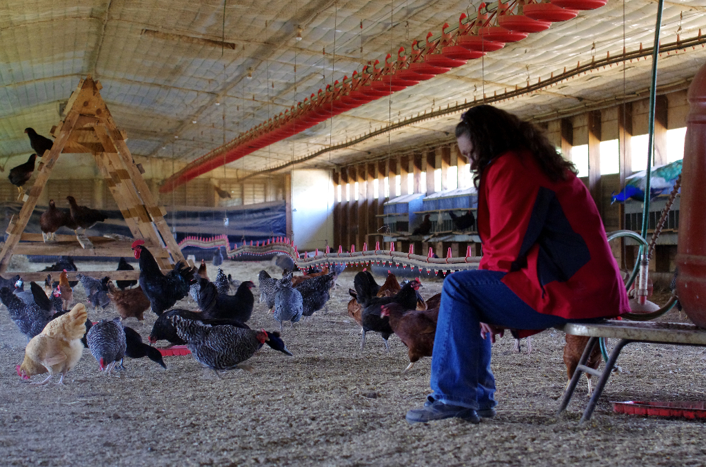 NFU Urges Immediate Adoption of Farmer Fair Practices Rules