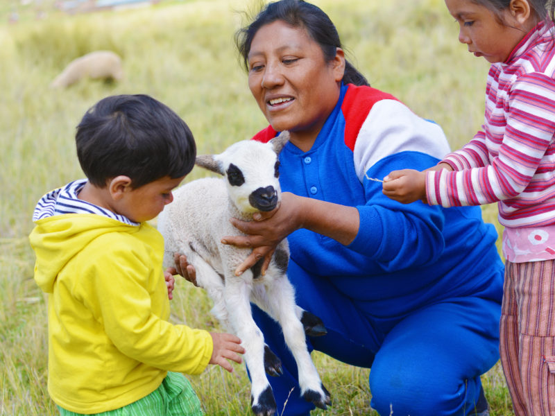 The Indigenous Origins of Regenerative Agriculture The Indigenous Origins of Regenerative Agriculture
