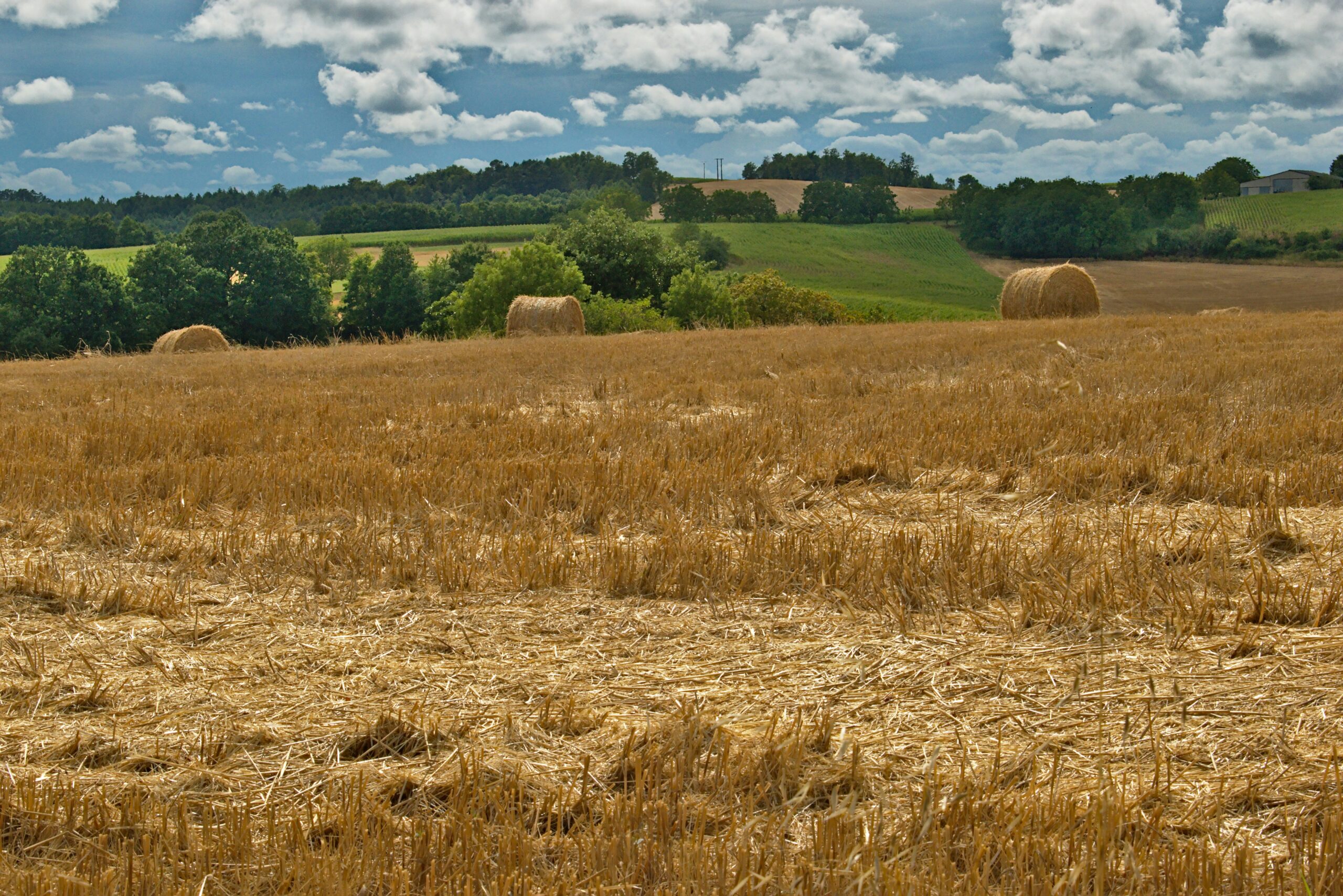 National Farmers Union Endorses Farmers First Act